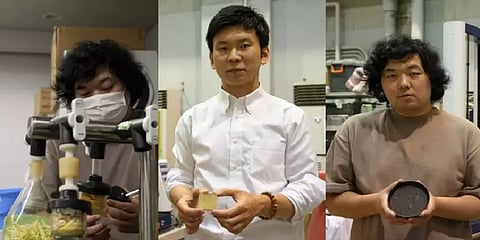 உணவிலிருந்து சிமென்ட்.. நீங்க நம்பலனாலும் அதான் நெசம்.. ஜப்பான் ஆராய்ச்சியாளர்கள் அசத்தல்!