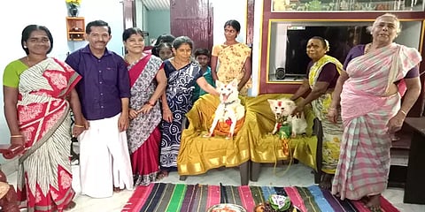 வேதாரண்யம்: வளர்ப்பு நாய்களுக்கு வளைகாப்பு நடத்தி மகிழ்ந்த குடும்பத்தினர்