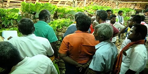 திண்டுக்கல்: வரத்து குறைவு; கூடுதல் விலைக்கு விற்கப்படும் வாழை இலைகள்