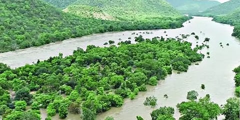 "ராசிமணல் பகுதியில் எந்தத் திட்டத்தையும் முன்னெடுக்கும் யோசனை இல்லை”- தமிழக அரசு