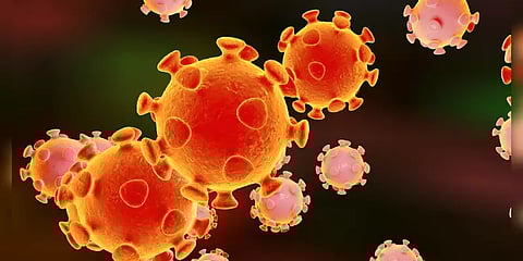 தமிழ்நாடு முழுவதும் மீண்டும் கொரோனா பரவும் அபாயம்: நிபுணர்கள் எச்சரிக்கை