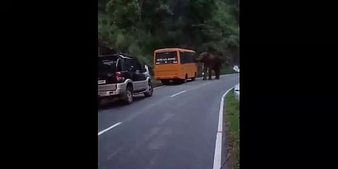 பள்ளி வாகனத்தை மறித்து 'சாவு பயத்தை' காட்டிய காட்டுயானை