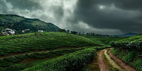 இயற்கை தாயின் மடியில்... : தென்னிந்தியாவில் விசிட் அடிக்க வேண்டிய Monsoon பகுதிகள் இதோ!