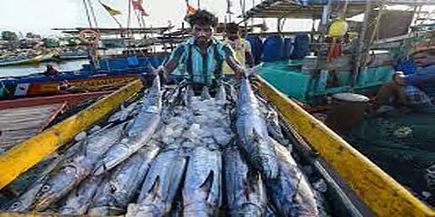 மீன்பிடி தடைக்காலம் 'ஓவர்' ! காசிமேட்டில் இன்று வஞ்சிர மீனின் விலை என்ன?