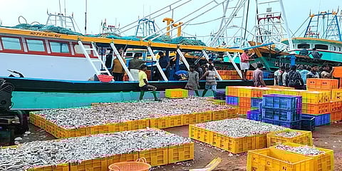 மீனும் கிடைக்கவில்லை விலையும் போகவில்லை – நஷ்டப்பட்டதாக மீனவர்கள் வேதனை