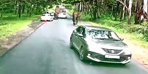 வாகனங்களை வழிமறித்து அட்டகாசம் செய்த காட்டு யானை: அச்சத்தில் வாகன ஓட்டிகள்