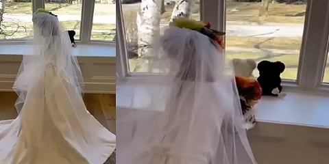 இப்படியொரு அழகான மணப்பெண்ணை பார்த்ததுண்டா? - லூனாவின் க்யூட்டெஸ்ட் வீடியோ!