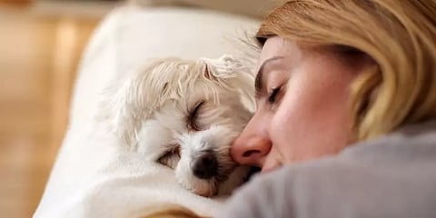 செல்லப்பிராணிகளை வளர்ப்பவரா நீங்கள்? - உங்களுக்கு இந்த வியாதிகள் பரவும் வாய்ப்புகள் அதிகம்