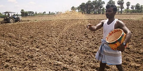 போலீஸ் பாதுகாப்புடன் நெல் விதைப்பை தொடங்கிய விவசாயிகள்.. காரணம் இதுதான்!