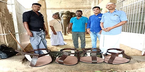 நெல்லையப்பர் கோவில் யானைக்கு செருப்பு அணிவித்த பக்தர்கள் - காரணம் இதுதான்