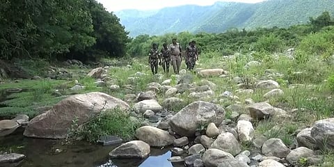 சத்தியமங்கலம் புலிகள் காப்பகம் - உயிரை பணயம் வைத்து கணக்கெடுக்கும் வன ஊழியர்கள்!