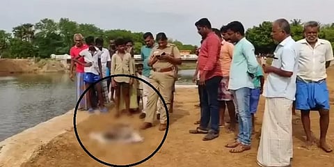 கும்பகோணம்: தொப்புள் கொடி கூட அறுக்கப்படாத நிலையில் ஆற்றில் வீசப்பட்ட பச்சிளம் குழந்தை