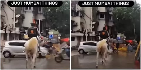 ’எனக்கு வேற வழி தெரியல ஆத்தா’ : ஸ்விக்கி டெலிவரி ஊழியரின் வியக்கத்தகு செயல்!