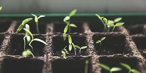 `எப்படி என் புத்திசாலித்தனம்...!’- ஸ்மார்ட் யுகத்தில் சாமர்த்தியவாசிகள் #MorningMotivation