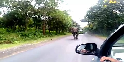 சத்தியமங்கலம்: ஆக்ரோஷத்துடன் காரை துரத்திய காட்டு யானை – வனத்துறை எச்சரிக்கை