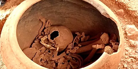 ஆதிச்சநல்லூர் அகழாய்வு: மனித எலும்புகளுடன் கண்டறியப்பட்ட 2 முதுமக்கள் தாழிகள்