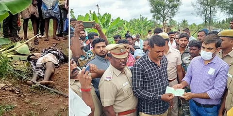 விவசாயி பலி எதிரொலி: தாளவாடியில் கும்கிகளாக களமிறங்கும் சின்னதம்பி, ராஜவர்தன்!