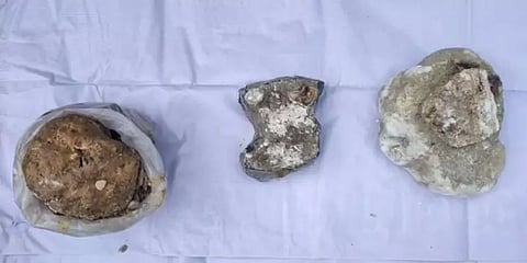 வாகன சோதனையில் சிக்கிய ரூ.90 லட்சம் மதிப்புள்ள திமிங்கல எச்சம் - 6 பேர் கைது