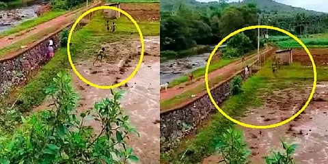 கையில் கம்புடன் வந்த அம்மா... தலைதெறிக்க ஓடிய சிறுவர்கள் - வைரலாகும் போட்டோஸ்