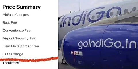 'க்யூட்டா' இருக்க காசு கட்டனுமா? இண்டிகோ பாசஞ்சரின் ட்வீட்டால் சலசலப்பு!