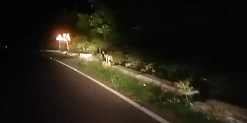 சாலையோர தடுப்புச் சுவரில் ஜாலியாக சென்ற சிறுத்தை – அச்சத்தில் வாகன ஓட்டிகள்