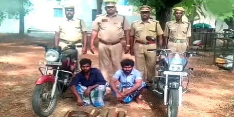 கிருஷ்ணகிரி: சந்தன மரம் கடத்தியதாக இருவர் கைது