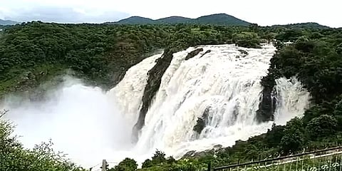 கர்நாடகா: தொடர் மழை எதிரொலி – பால்போல் பொங்கி வழியும் சிவசமுத்திரம் நீர்வீழ்ச்சி