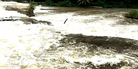 தொடர்ந்து பெய்யும் தென்மேற்கு பருவமழை: முல்லைப் பெரியாற்றில் வெள்ளப் பெருக்கு