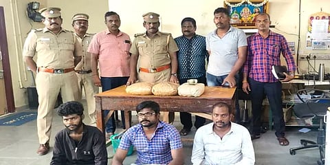 சென்னை: இருவேறு இடங்களில் நடந்த வாகன சோதனயில் சிக்கிய 7.6 கிலோ கஞ்சா பறிமுதல்