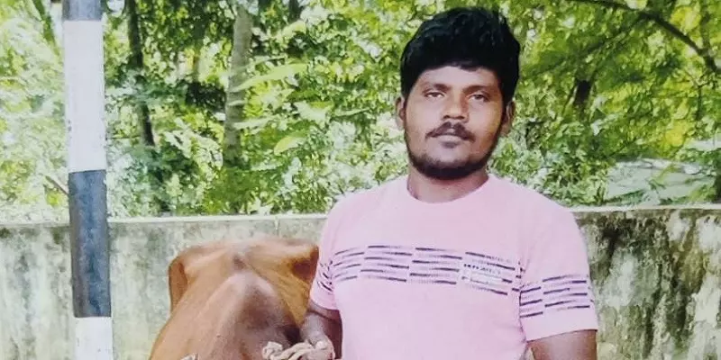 ஆம்பூரில் திருடப்பட்ட பசுக்கள் திண்டுக்கல்லில் விற்பனை - போலீசாரிடம் வசமாக மாட்டிய இளைஞர்