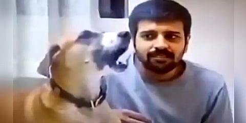 கேரளா: நாயின் நகைப்புக்குரிய செயல் - அப்படி என்ன செய்தது?