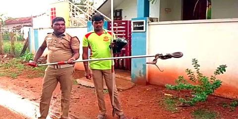 வீட்டிற்குள் நுழைந்த விஷப் பாம்பு: ஒருமணி நேரம் போராடிப் பிடித்த தீயணைப்புத் துறையினர்