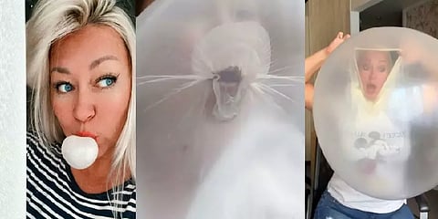 ரூ.480தான் முதலீடு.. சுயிங்கம் மென்று மாதாமாதம் ரூ.67,000 சம்பாதிக்கும் ஜெர்மனி பெண்!