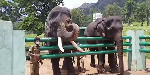 யானைகளை பராமரிக்கும் பொள்ளாச்சி மலசர் இன மலைவாழ் மக்களுக்கு "கஜ் கவ்ரவ்" விருது அறிவிப்பு