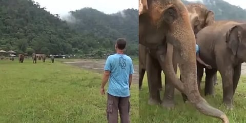 ”அந்த ஒரு குரல்தான்..” : தன்னை வளர்த்த பாகனை கட்டியணைத்துக் கொண்ட யானை கூட்டம்!