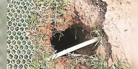 ஆழ்துளை கிணற்றில் விழுந்த 3 நாய்க்குட்டிகளை மீட்க களமிறங்கிய தேசிய பேரிடர் மீட்புப்படை!