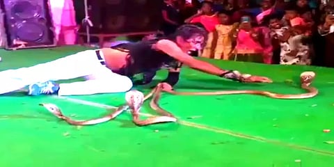 ஆடல் பாடல் நிகழ்ச்சியில் பாம்பு வித்தை காட்டிய பாம்பாட்டி கைது