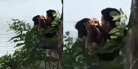 காதலிக்கு பேன் பார்த்த காதலன்.. இதுதான் உண்மையான காதல் என கொண்டாடும் நெட்டிசன்ஸ்!