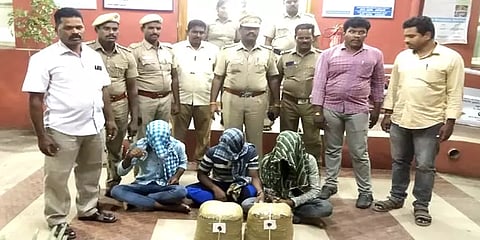 அரசுப் பேருந்தில் டிக்கெட் பரிசோதனையில் சிக்கிய கஞ்சா – 3 வடமாநில இளைஞர்கள் கைது