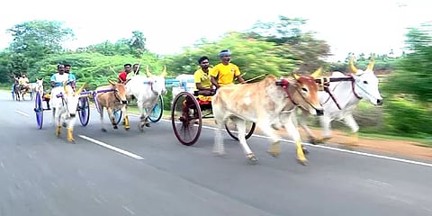 புதுக்கோட்டை: மாட்டுவண்டி பந்தயம் - சீறிப்பாய்ந்து பரிசுகளை தட்டித் தூக்கிய மாடுகள்