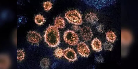 சீனாவில் பரவத் துவங்கும் பல மடங்கு ஆபத்தான லாங்யா வைரஸ்: WHO எச்சரிக்கை