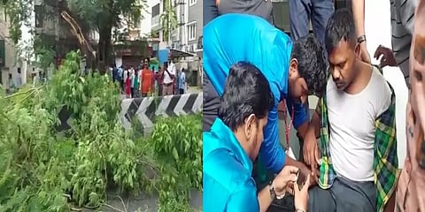 சென்னை கே.கே. நகரில் திடீரென சாய்ந்து விழுந்த ராட்சத மரம் - ஆயுதப் படை காவலர் காயம்