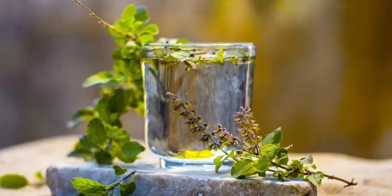 ஆண்களே இதை கொஞ்சம் கவனியுங்கள்.. துளசியை அதிகளவில் சாப்பிட்டால் இந்த குறைபாடு ஏற்படும்..!