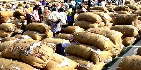 விளைச்சல் குறைவு; விலை அதிகம்: மகிழ்ச்சியில் பருத்தி விவசாயிகள்