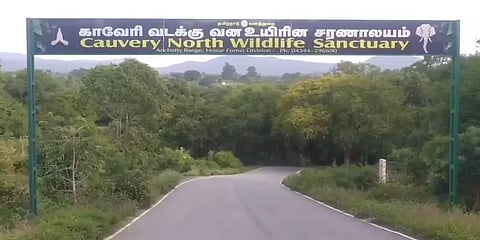 கிருஷ்ணகிரி: பிரசவத்தின்போது பரிதாபமாக குட்டியுடன் உயிரிழந்த யானை