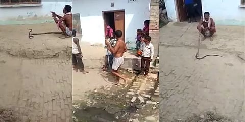 பாம்பை பிடித்து கழுத்தில் சுற்றி ஊரை வலம் வந்த விவசாயி.. அதே பாம்பால் கடிபட்டு மரணம்