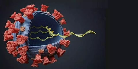 ’நாள்பட்ட கொரோனா நோயாளியிடமிருந்து புதிய திரிபு பரவுகிறதா?’-அதிர்ச்சியான ஆய்வு முடிவுகள்!