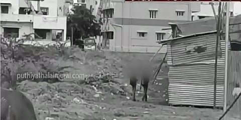 பட்டப்பகலில் மது அருந்துவிட்டு சாலையில் தள்ளாடிய அரசுப் பள்ளி மாணவர்கள்-அதிர்ச்சி வீடியோ