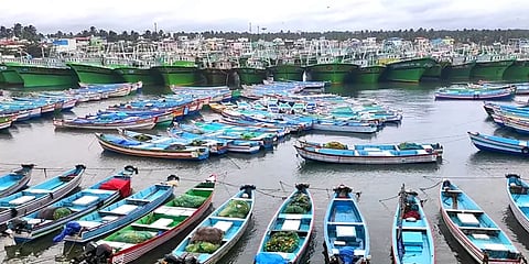 அரபிக்கடலில் சூரைக் காற்றுடன் பெய்யும் கனமழை – கடலுக்குச் செல்லாத முட்டம் மீனவர்கள்