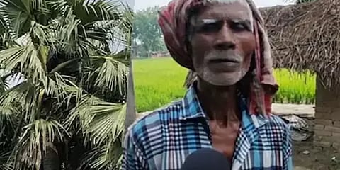 ”ஆள விடுங்கப்பா.. நான் இங்கயே இருந்துக்குறேன்” - மனைவி தொல்லையால் மரத்தில் வாழும் கணவன்!